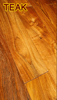 masello teak